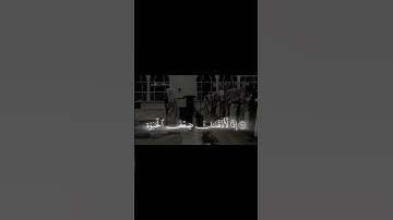 تلاوه خاشعه للشيخ ناصر القطامي