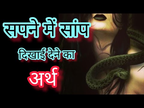 वीडियो: वन्यजीव रेबीज मामलों में मेन सीइंग अपटिक Up