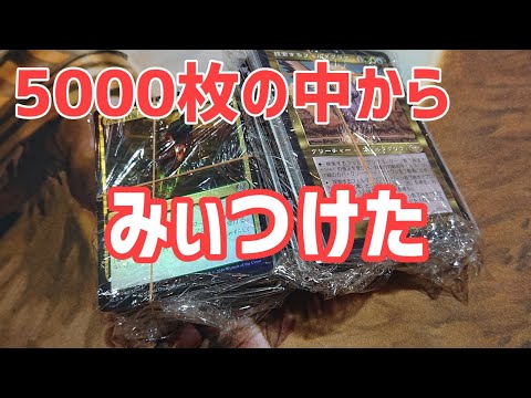 MTG アルファ α 大量まとめ売り コモン 1枚でもOK！ MTG アルファ α 大量まとめ売り コモン 1枚でもOK！ 0,000