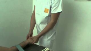 Midcarpal joint Palmar gliding capitate lunate