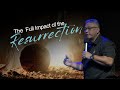 Easter sunday  the full impact of the resurrection  bishop vincent vicencio