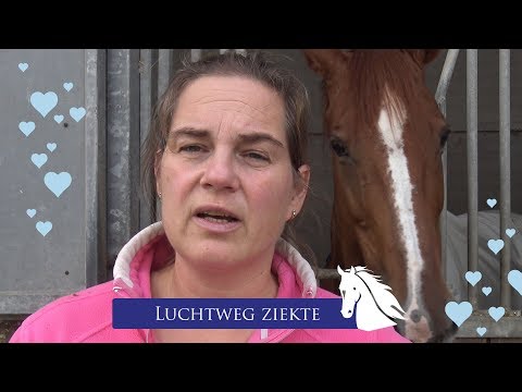 Video: Griepvirus Bij Paarden
