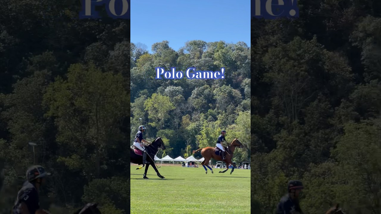 Polo Game is fun❤️ watching the horses 🤩 