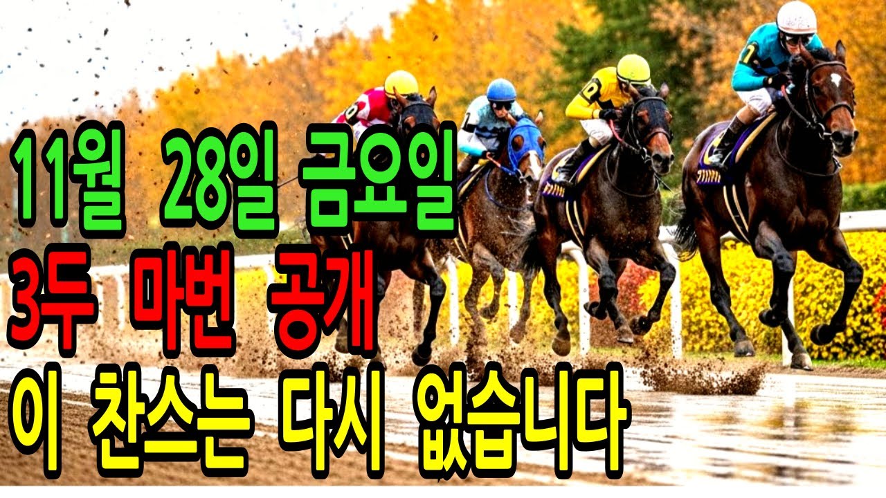 11월 28일 금요일 경마~“지금 안 보면 평생 후회합니다”ㅣ승전경마 전문가의 이변 포착 l 경마 l 경마예상 l 코리아레이스 l 검빛경마 ㅣ경마정보
