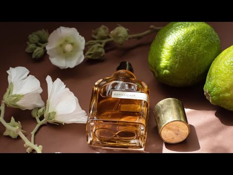 عطر بيرقاماسك من اورتو باريسي    رائحته أداءه وماتريد معرفته عنه