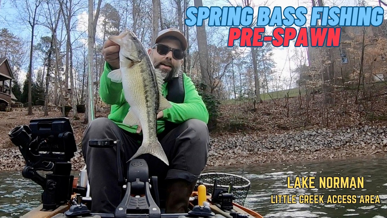 Pre-Spawn Bass Fishing is Finally Here!  Lake Norman Bass Fishing – Little Creek Access Area