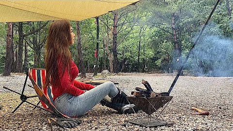 In the rain forest sound of rain cozy vibes Solo c...