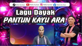 Dayak Kayu Ara Pantun Song || Viral 🔥