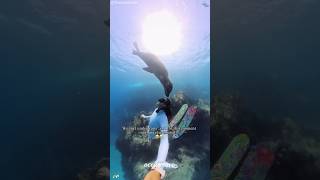 Embark on a Marine Adventure 🌊 #sealife #ocean #marine #foryou #funny