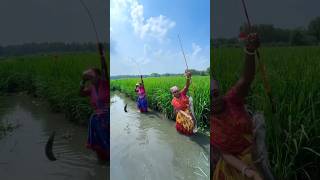 Download Lagu This man was surprised when he saw the two women fishing #shorts #shortvideo #fishing #fish MP3