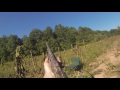 Early September 2015 Dove Hunt in Maryland (Labor Day)