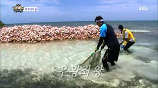 [정글의법칙] 130823 #4(1)