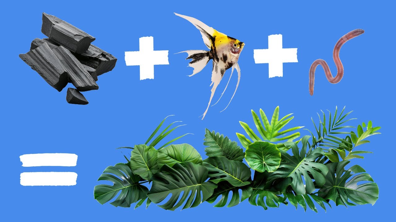 Biochar Flood & Drain System Tour: Powered by Worms & Fish