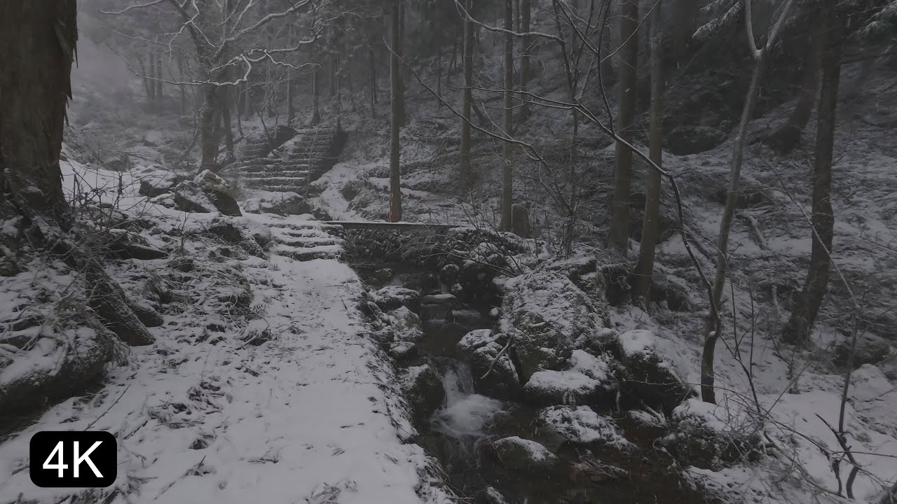 4K Japan Immersive Walk | Icy Veils: Exploring Hidden Waterfalls as the Mountain Closes