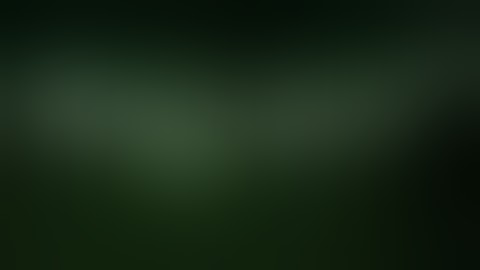 HO TO DAWLAND OUTLAST 2... Free windows 10...100%