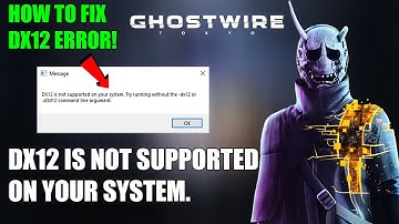 Dx12 is not supported on your system.Try running without the-dx12 or d3d12 command line argument