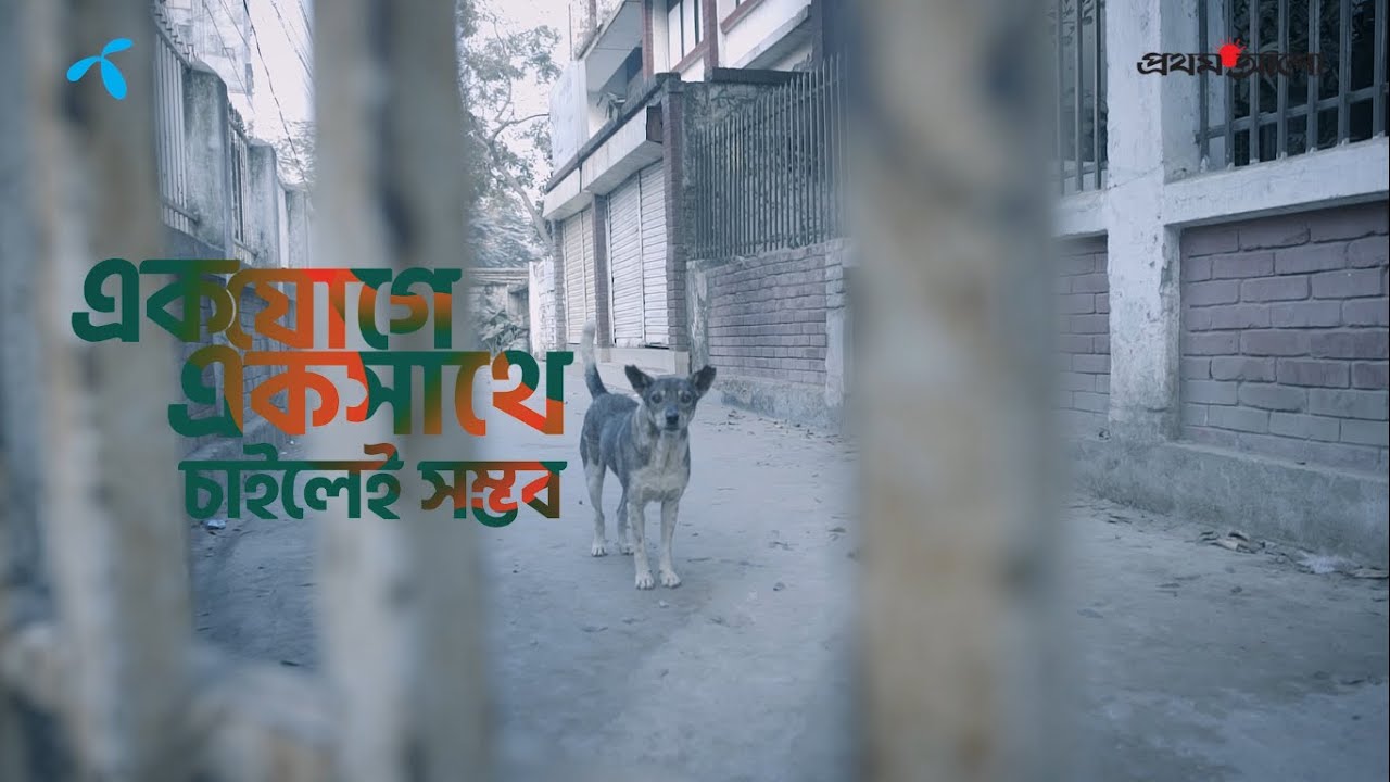 কুকুর-বিড়ালের প্রতি এমিলের ভালোবাসা || একযোগে একসাথে চাইলেই সম্ভব