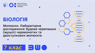 7 клас. Біологія. Молюски. Лабораторне дослідження: будова черепашки (мушлі) молюсків. Частина 2