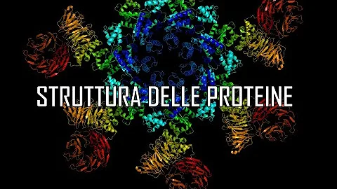 Come si fanno le proteine?