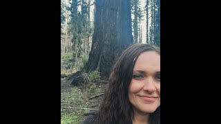 Winter Solstice 2023 Healing Reflections for Humanity from the Sacred Redwood Forest with Stasha