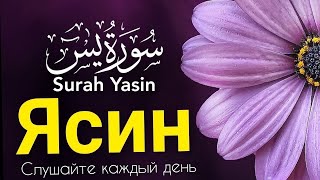 СУРА ЯСИН СЛУШАЙТЕ КАЖДЫЙ ДЕНЬЧтец суры Корана Исмаил каары