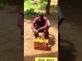 My story of how I become a drunker#funny #comedyshorts #comedy#comedyvideos #comedyshorts