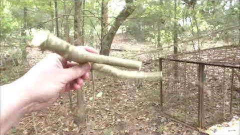 Hog Trap Trigger...Deer in the Trap