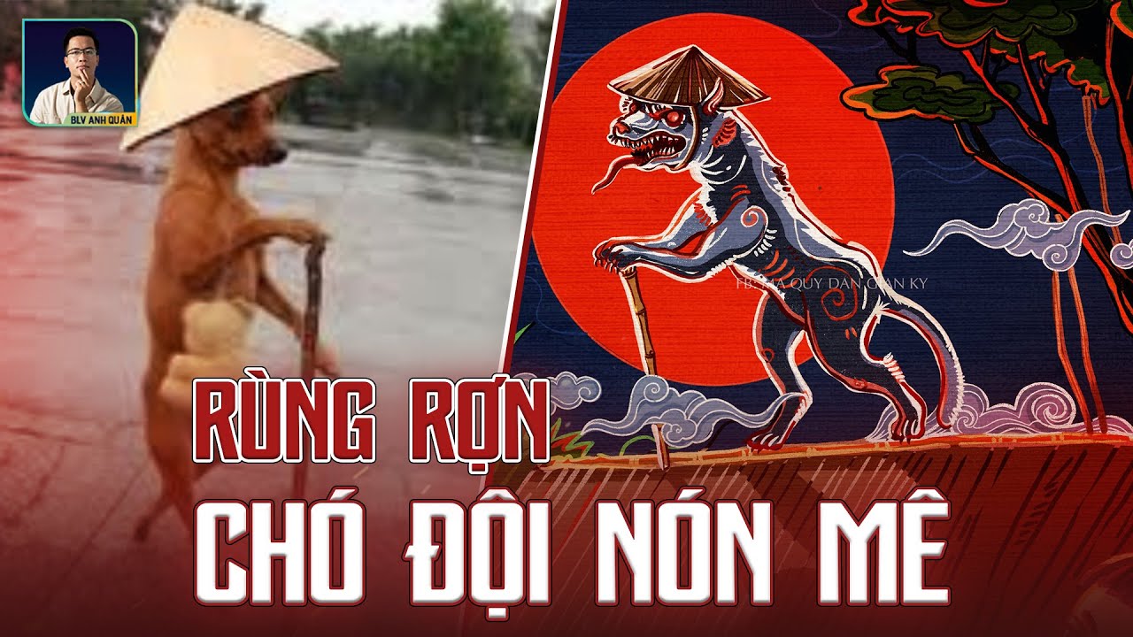 CHUYỆN BÍ ẨN CHÓ CHỐNG GẬY ĐỘI NÓN MÊ - YouTube