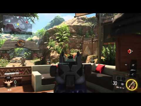 CoD:BO3謎の強制終了バグ