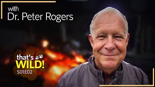 that's WILD! | Wildlife Vet Dr Rogers | S1EP2 screenshot 5