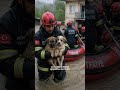 Niğde’de baraj taşınca bir evde mahsur kalan 2 yavru köpek itfaiye ekiplerincekurtarıldı