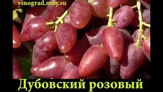 ДУБОВСКИЙ РОЗОВЫЙ