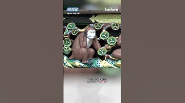 ý nghĩa ba chú khỉ nổi tiếng ở đền Nhật Bản #hongnhatban #nhatban #taihennet #taihenvn #shorts