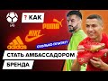 Амбассадоры бренда | Кто это? Как им стать? Сколько платят?