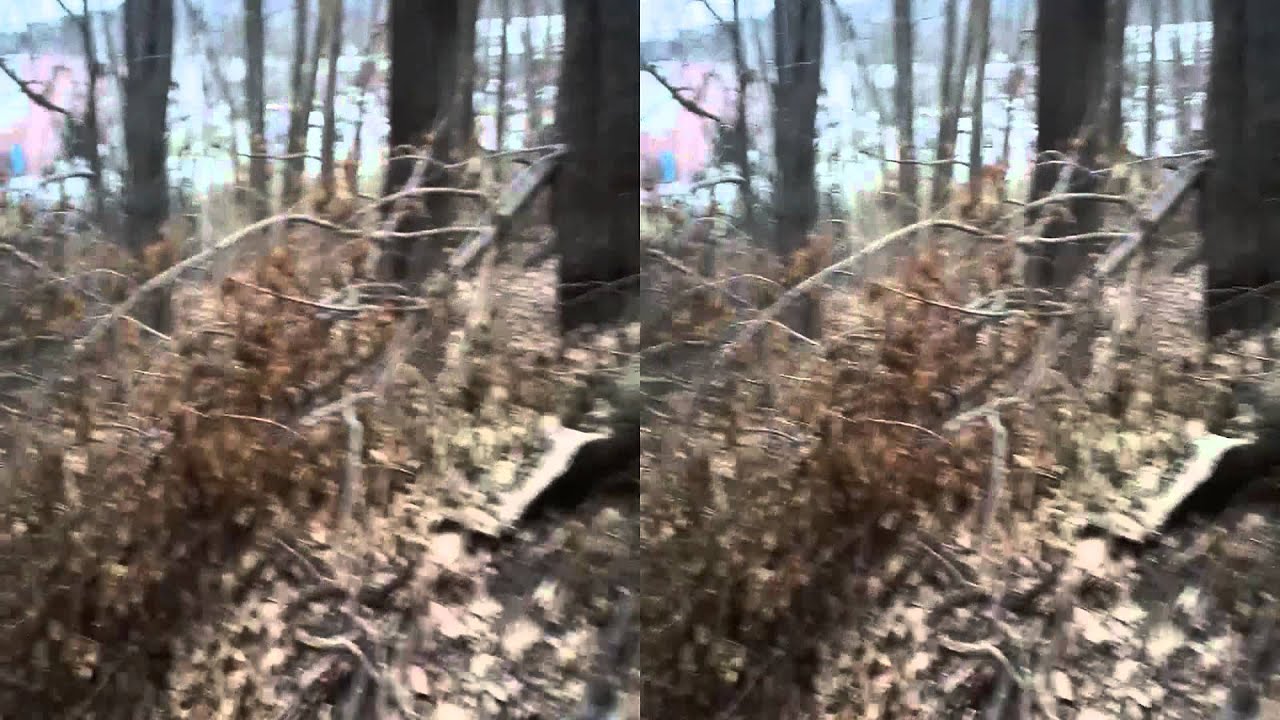 Leominster: 3D Video: Whitney Field Remnants