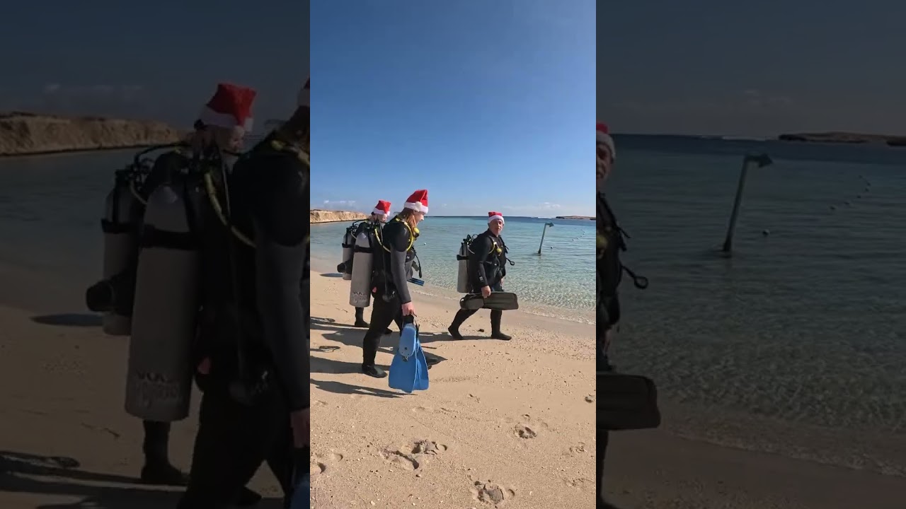 Vánoce, Vánoce 🎅❄️🌲🌴