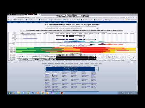How to visualise chromatin and epigenetic data on the UCSC genome browser (tutorial 4)