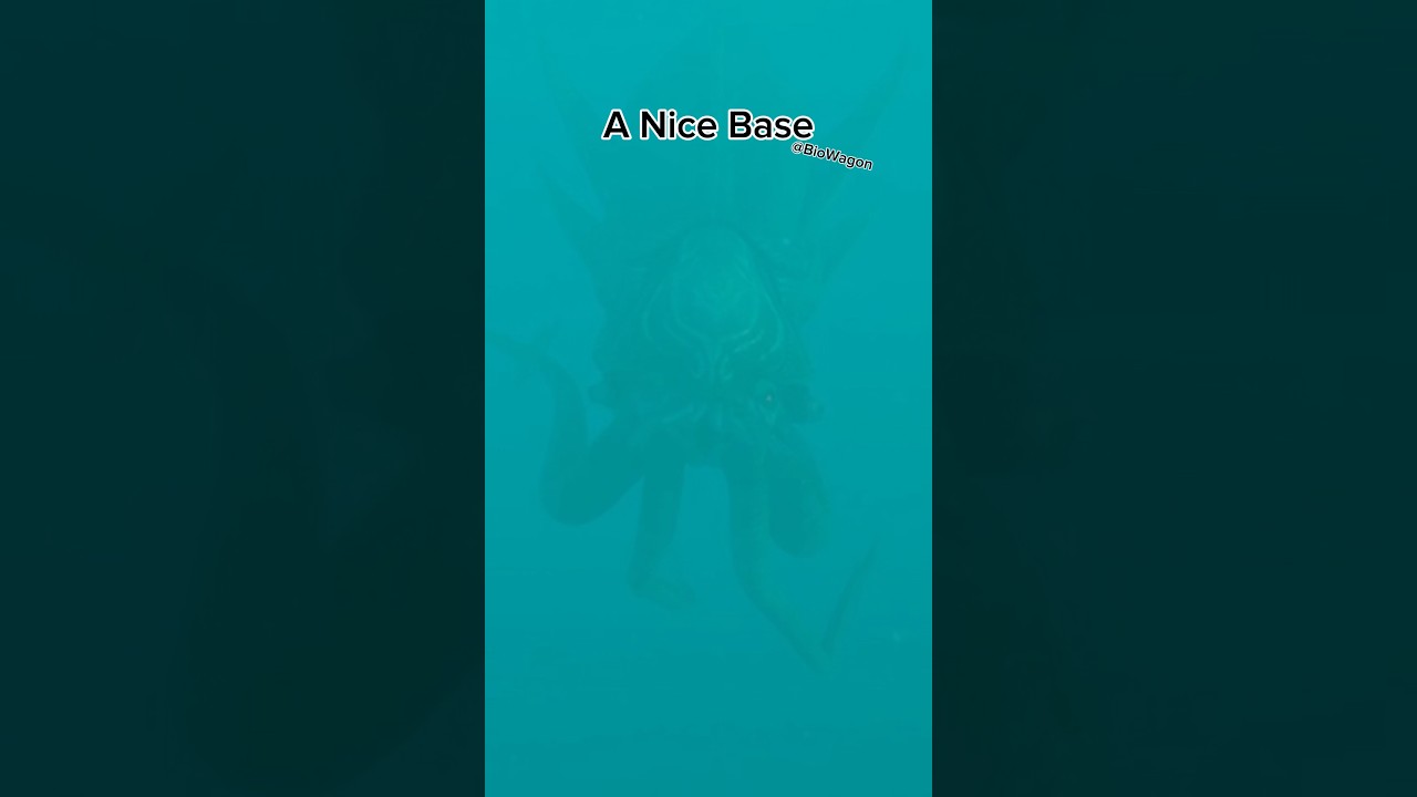 A Nice Base #subnautica #shorts #memes
