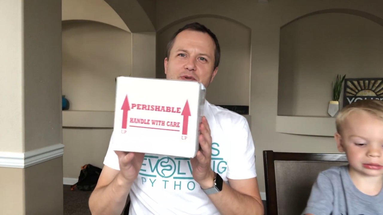 egg incubation Another fantastic addition, Carter and his car eating Dinosaur