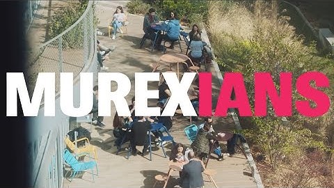 We are Murexians - Discover Murex