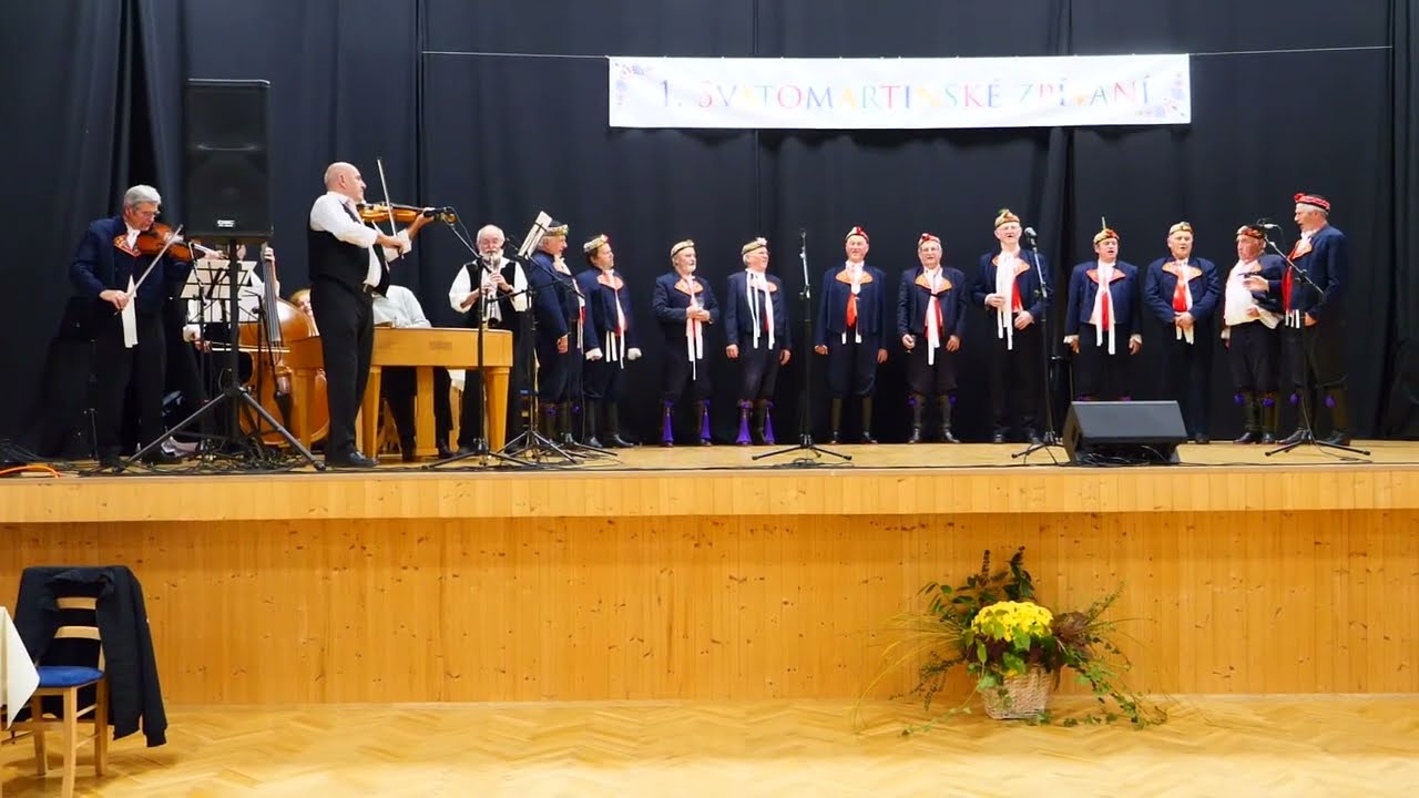 Mužáci z Březí - Přeletěly husy