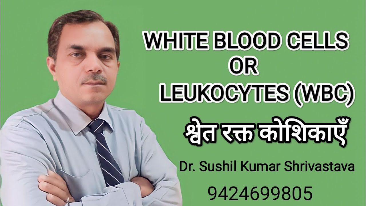 WHITE BLOOD CELLS OR LEUKOCYTES (WBC) श्वेत रक्त कोशिकाएँ YouTube