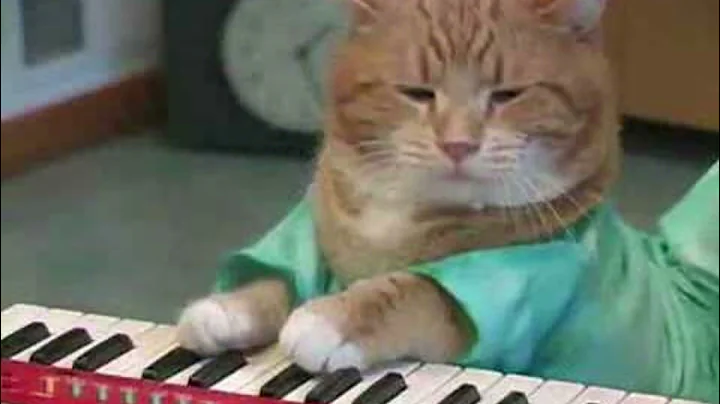 keyboard cat reincarnated (unofficial extended mix)