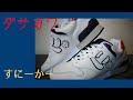 にゅ～ずスニーカー買ってみた