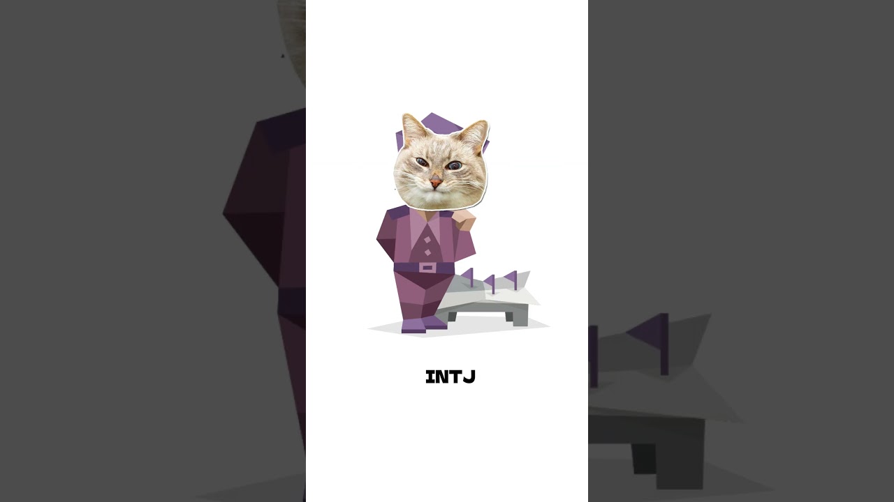INTJ - ОБЪЯСНЯЕМ НА КОТЯТАХ