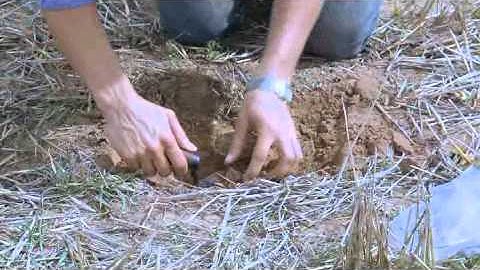 How to measure bulk density