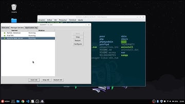 PHP no Linux - Rodando um programa php no linux Mint ou Ubuntu usando Xampp