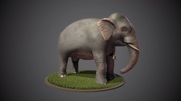 3D ELEPHANT MODELLING AND TEXTURING