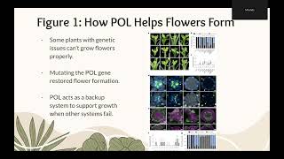 BIOL 105 Final Presentation