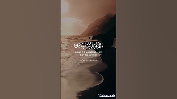 ما تيسر من سورة الغاشية بصوت القارئ حمزة بوديب